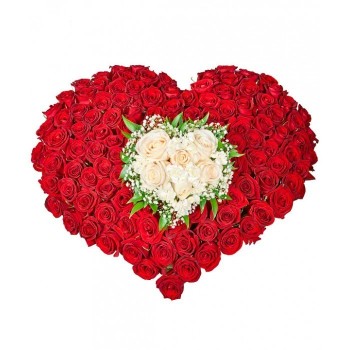 Сердце 1 Сердце 1