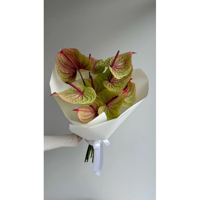 Антуриумы в Петропавловске