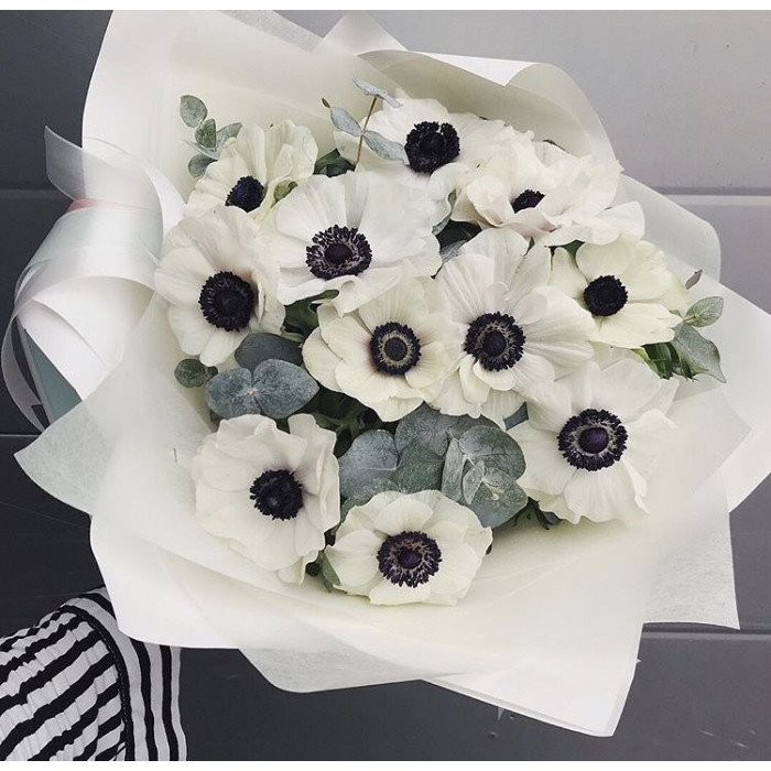 Анемоны в Петропавловске