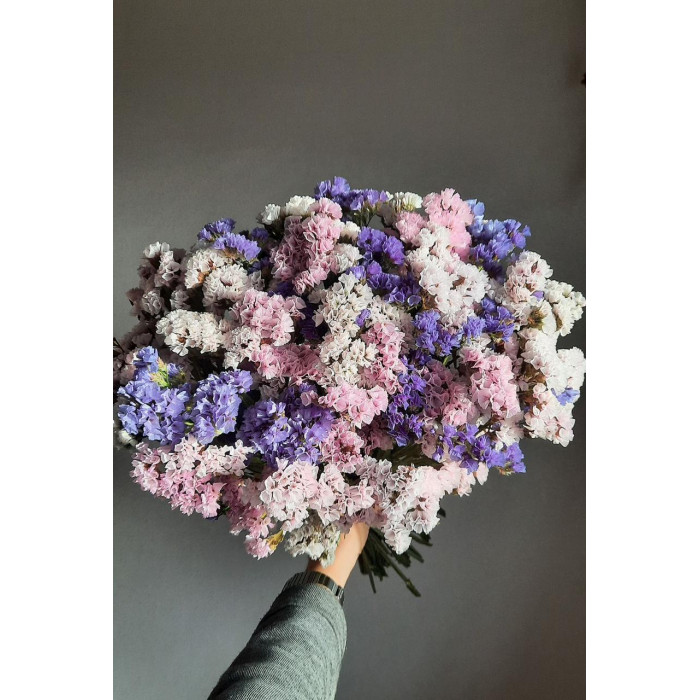 Статица (Лимониум) в Петропавловске