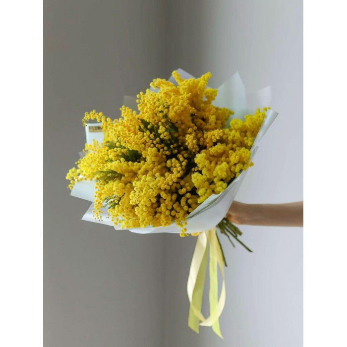 Мимоза в Петропавловске