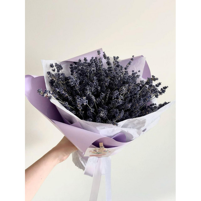 Лаванда в Петропавловске