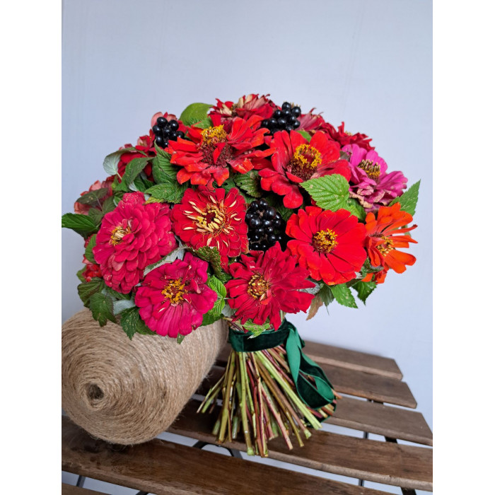 Циния в Петропавловске