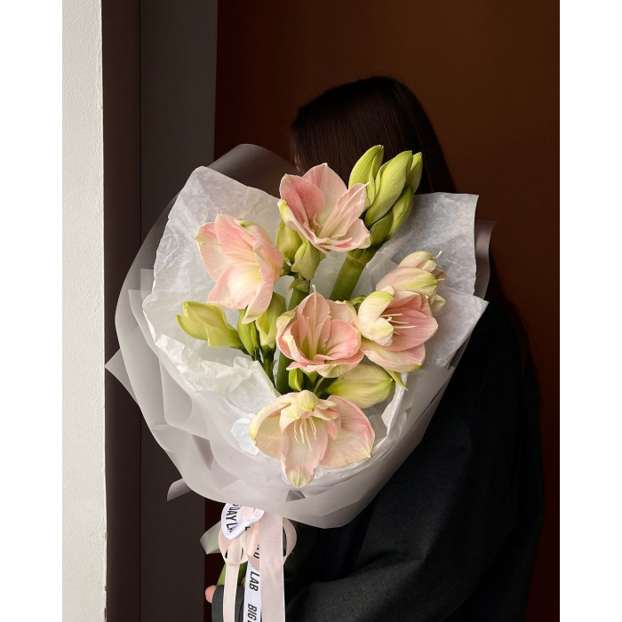 Амариллис в Петропавловске