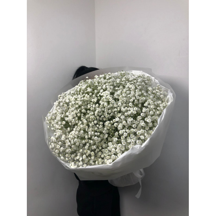 Гипсофила классическая в Петропавловске