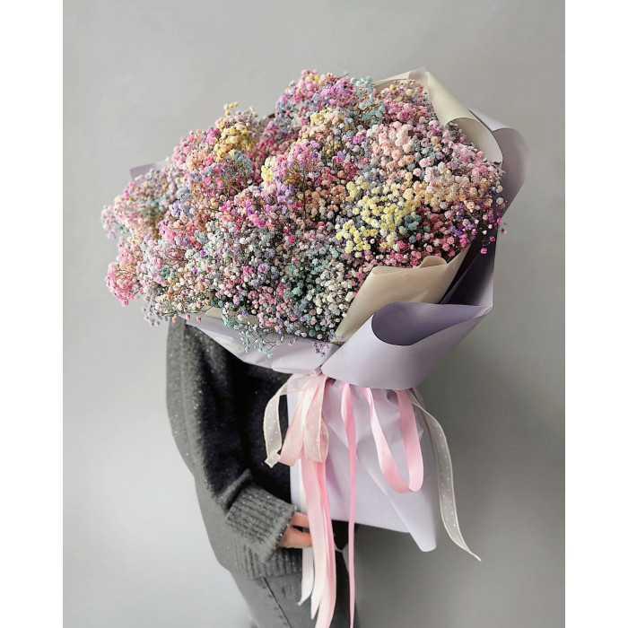 Гипсофила цветная в Петропавловске