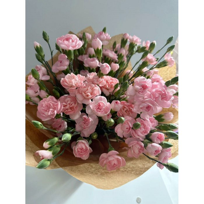 Кустовые гвоздики в Петропавловске