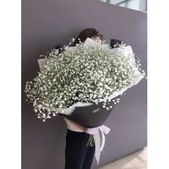 Букет из гипсофила